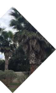 Tomball-Rosehill RV Park RV park in Tomball, TX (photo 2)
